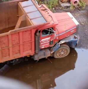 Meet your Posher, Ronald